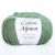 Infinity Cotton Alpaca ( 8522 DUST GREEN)  85% хлопок, 15 % беби альпака 50гр/150 м